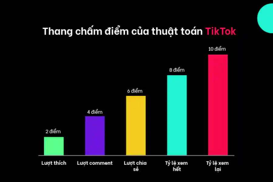 Thang chấm điểm của thuật toán TikTok