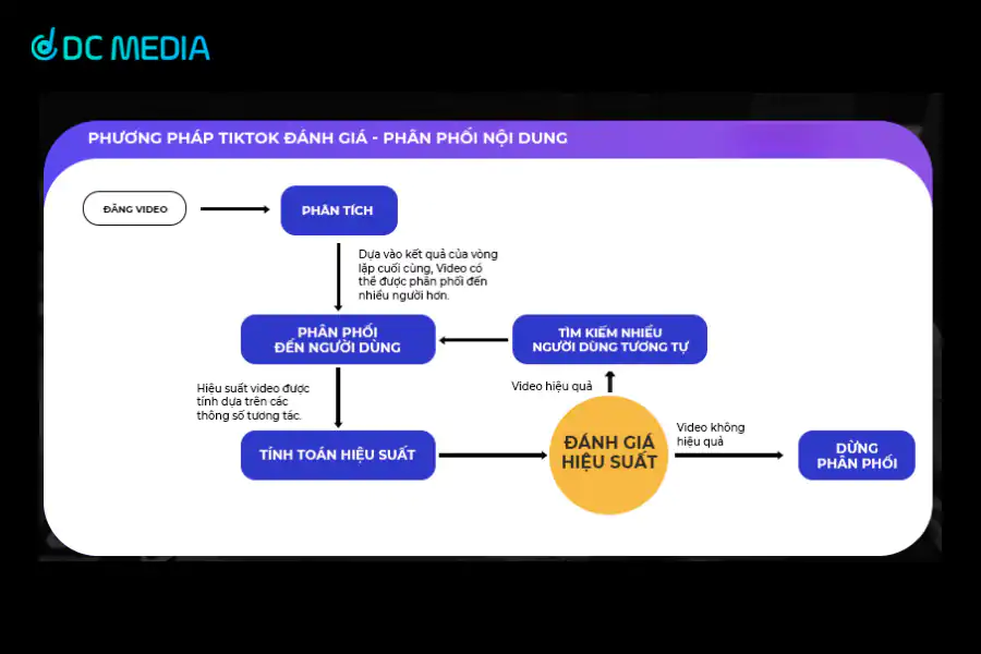 Cách TikTok đánh giá – phân phối nội dung
